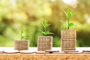 Ipl Betting for Cash Guide: Step-by-Step Guide for India (2026)